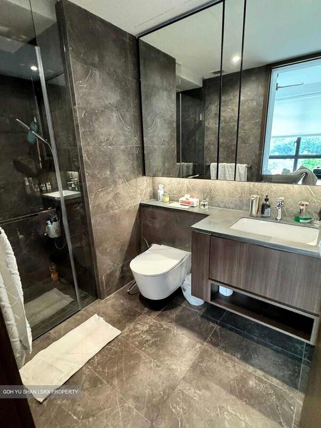 Kopar At Newton (D9), Apartment #485548101